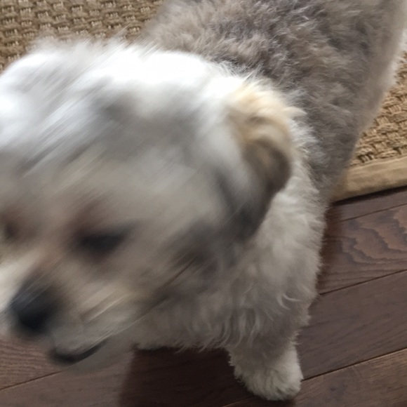 Meet your Posher, Olga - Picture 1 of 1